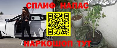 эйфоретик Конаково