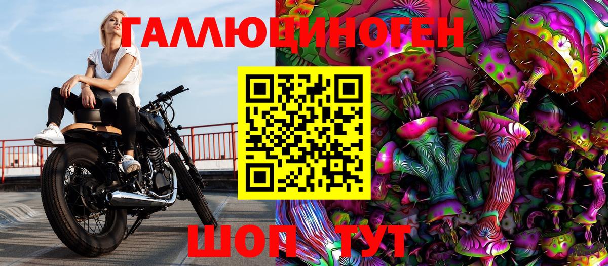 Псилоцибиновые грибы Psilocybe  Вход с VPN  Кубинка  Псилоцибиновые грибы прущие грибы 