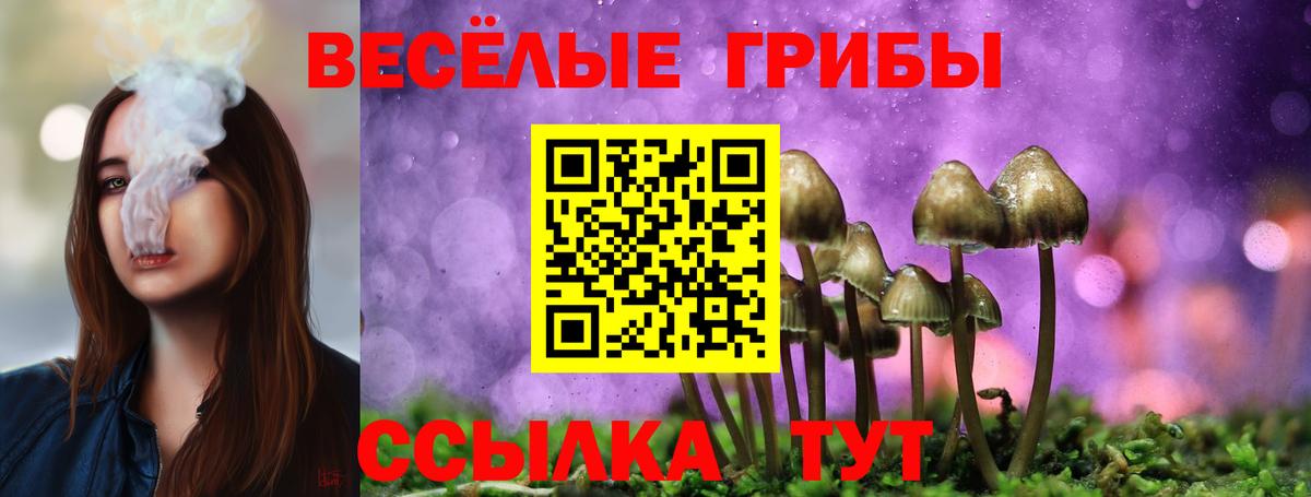 Псилоцибиновые грибы ЛСД Кубинка